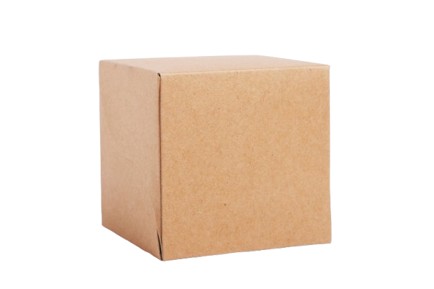 Carton Box 18 inches